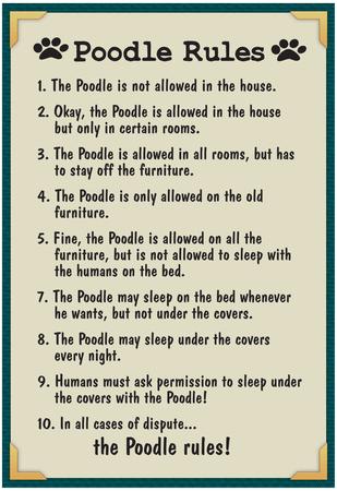Details about / A Poodle/'s House Rules Wall Decor Poster No Framed
